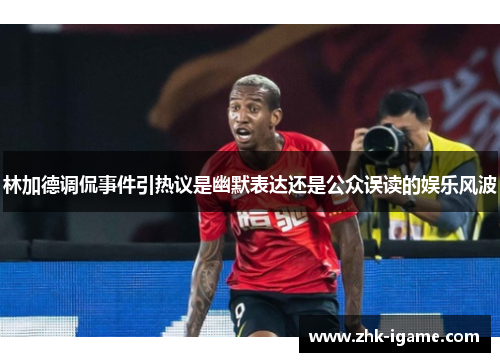 林加德调侃事件引热议是幽默表达还是公众误读的娱乐风波